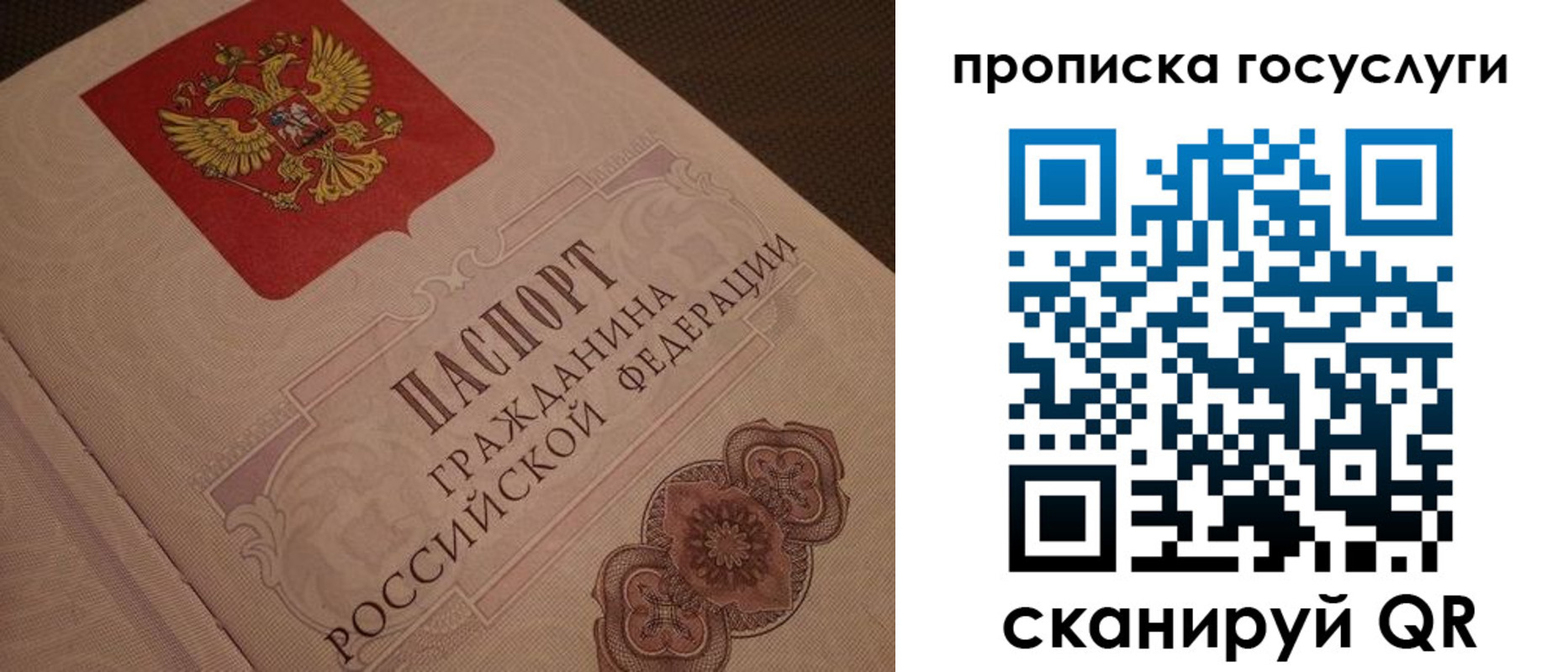 прописка для работы в Борзе